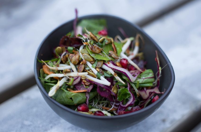  The Benefits of a Plant-Based Diet: Why It’s Worth a Try