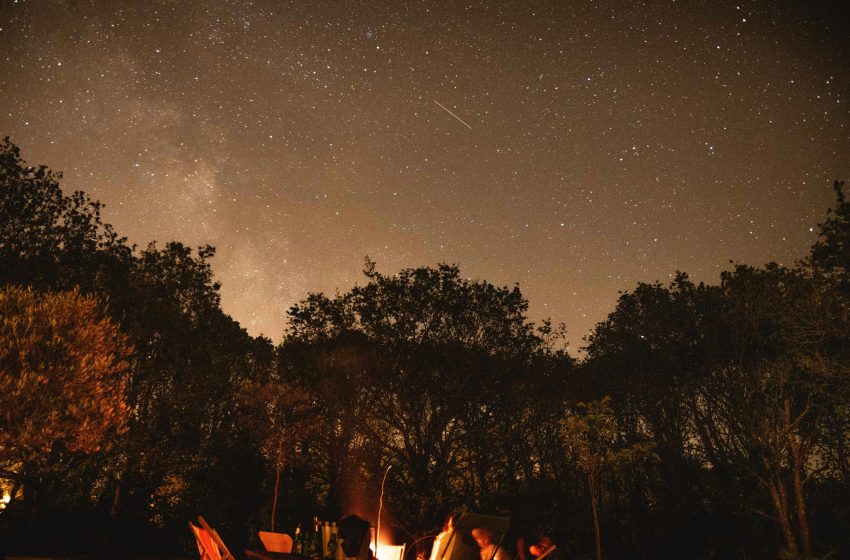  Fun Activities To Try On Your Next Camping Trip