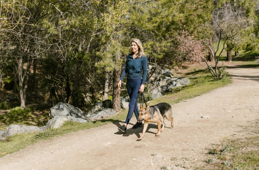  Unique Pet-Friend Travel Ideas For 2025